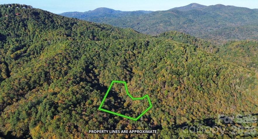 14 Johnny Farm Road Black Mountain NC 28711