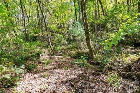 14 Johnny Farm Road Black Mountain NC 28711