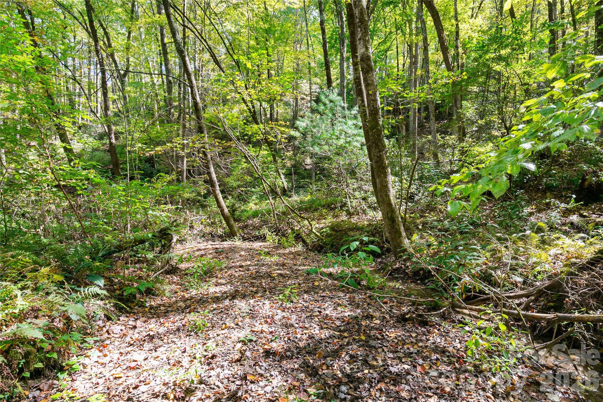 14 Johnny Farm Road Black Mountain NC 28711