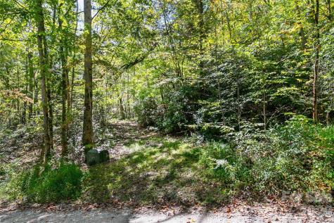 14 Johnny Farm Road Black Mountain NC 28711
