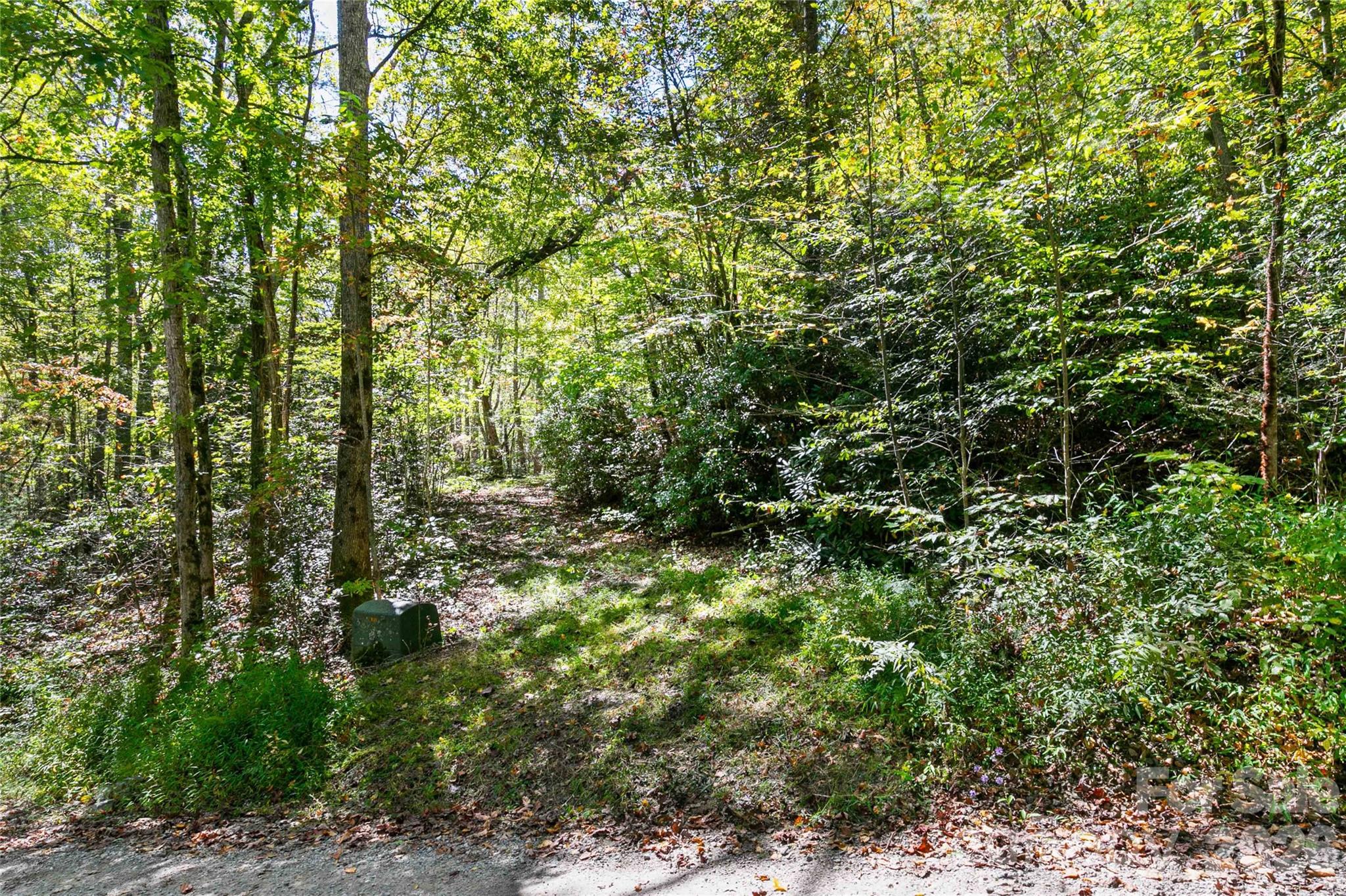14 Johnny Farm Road Black Mountain NC 28711