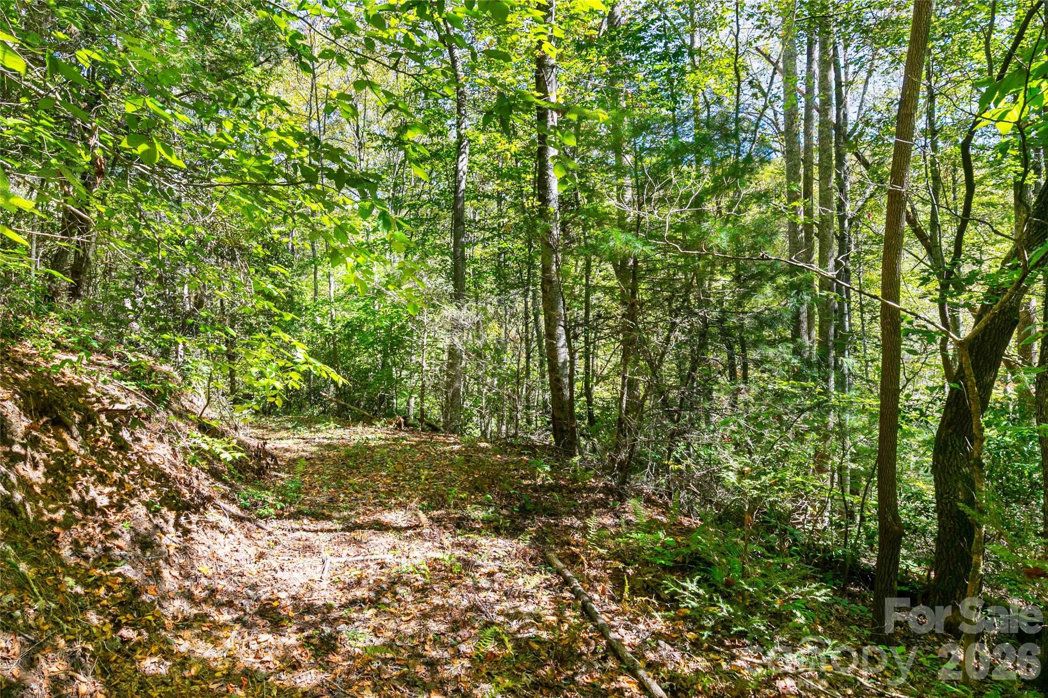 14 Johnny Farm Road Black Mountain NC 28711