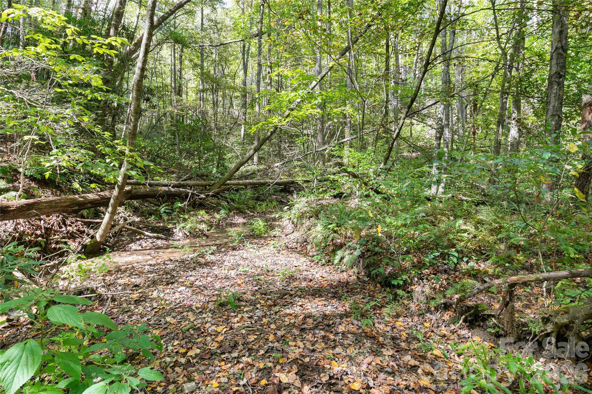 14 Johnny Farm Road Black Mountain NC 28711