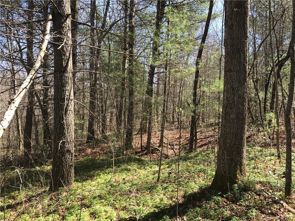 99999 Sedgewood Court Fairview NC 28730