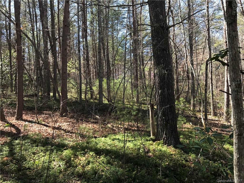 99999 Sedgewood Court Fairview NC 28730