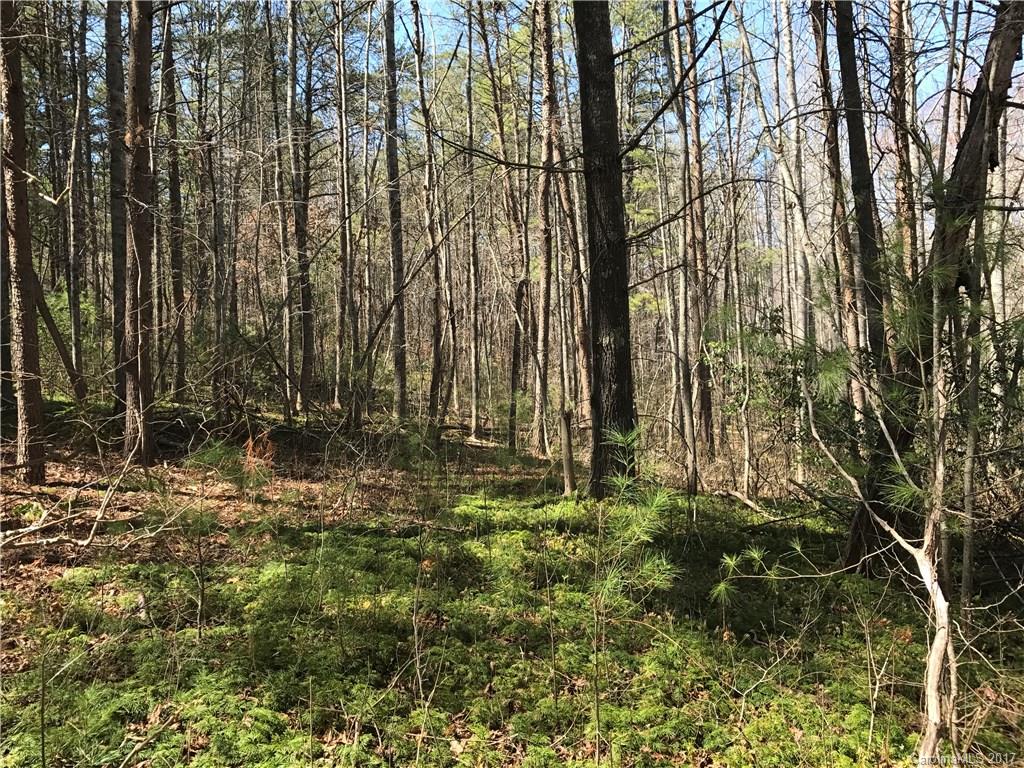 99999 Sedgewood Court Fairview NC 28730