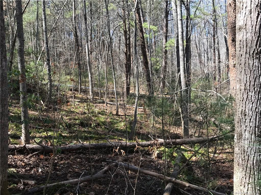 99999 Sedgewood Court Fairview NC 28730