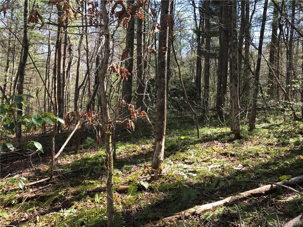 99999 Sedgewood Court Fairview NC 28730