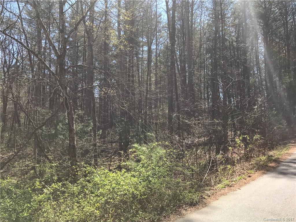 99999 Sedgewood Court Fairview NC 28730