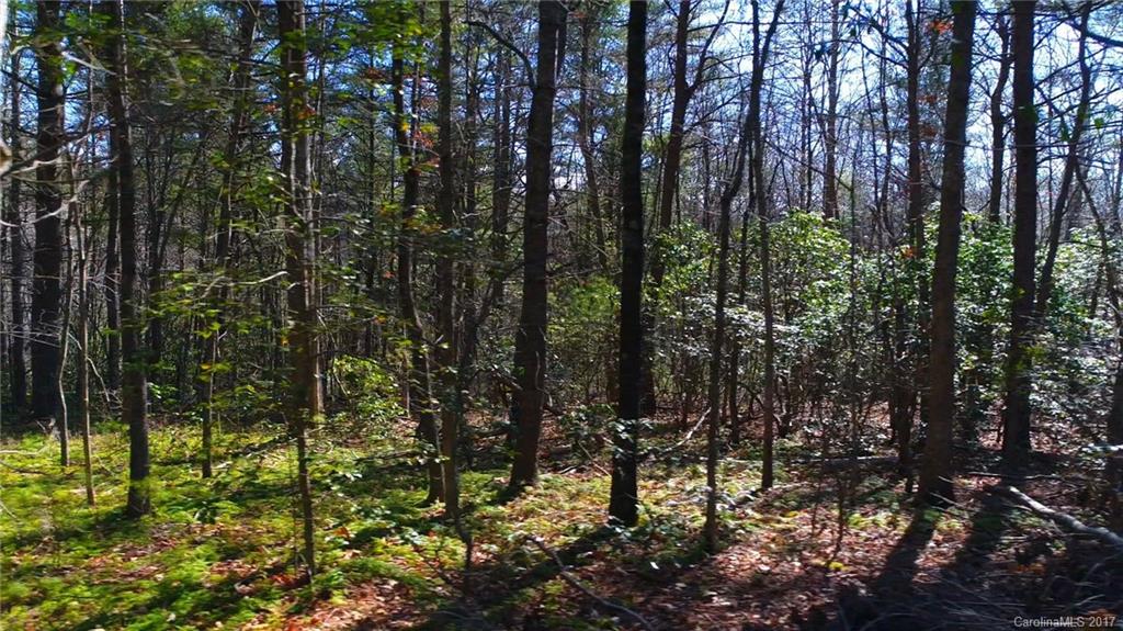 99999 Sedgewood Court Fairview NC 28730