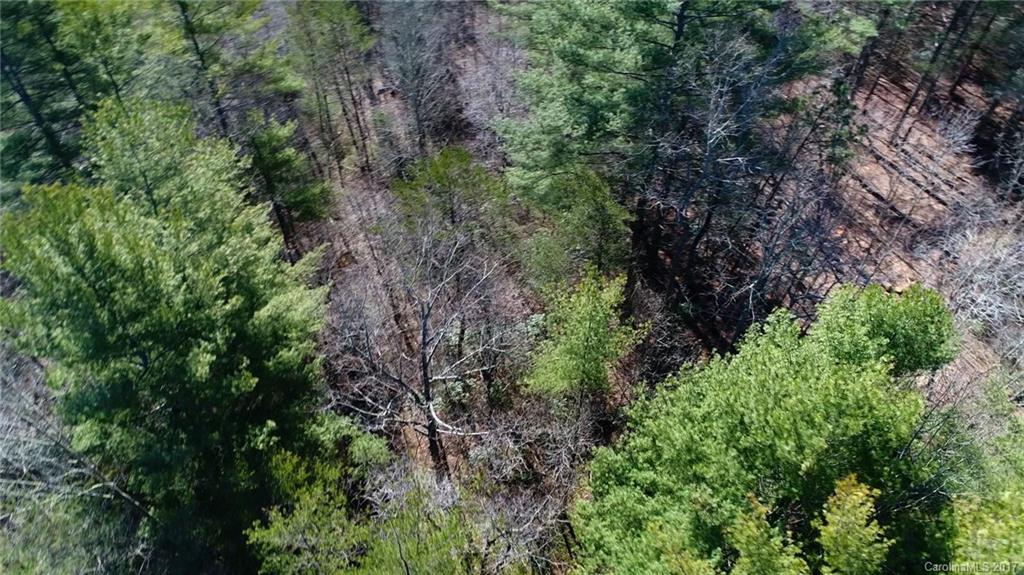 99999 Sedgewood Court Fairview NC 28730
