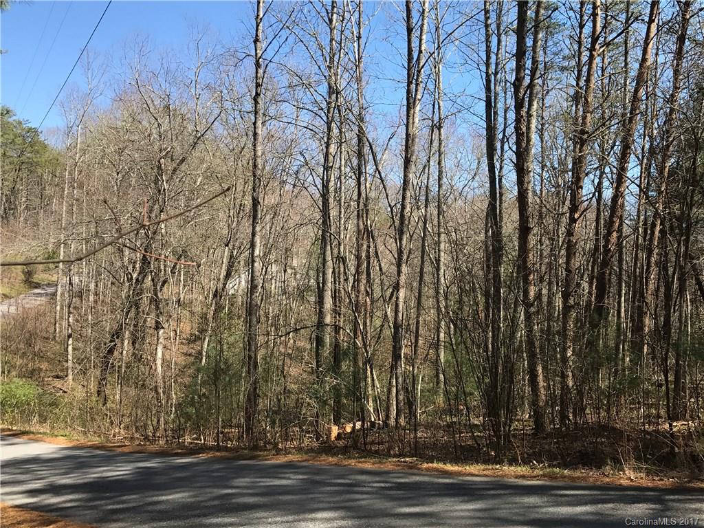 99999 Sedgewood Court Fairview NC 28730