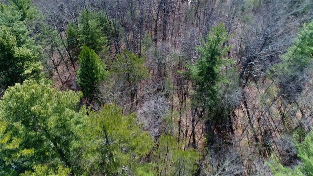 99999 Sedgewood Court Fairview NC 28730