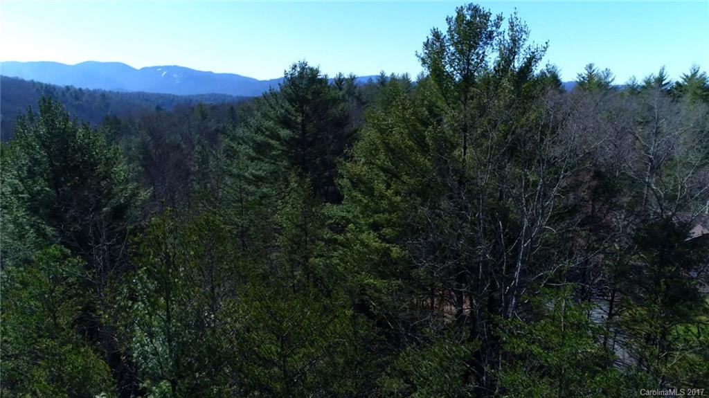 99999 Sedgewood Court Fairview NC 28730