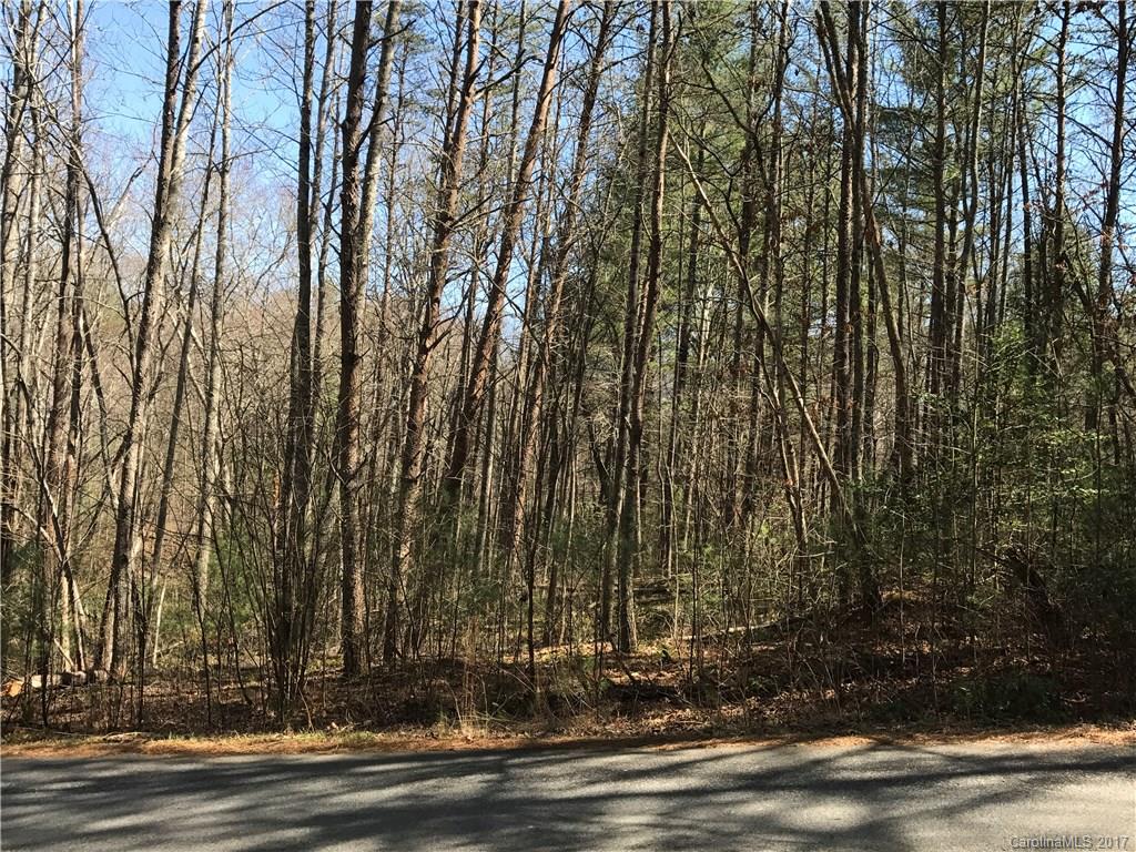 99999 Sedgewood Court Fairview NC 28730