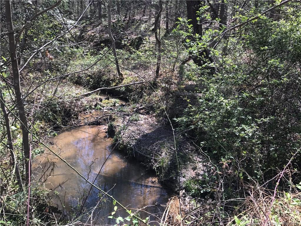 99999 Sedgewood Court Fairview NC 28730