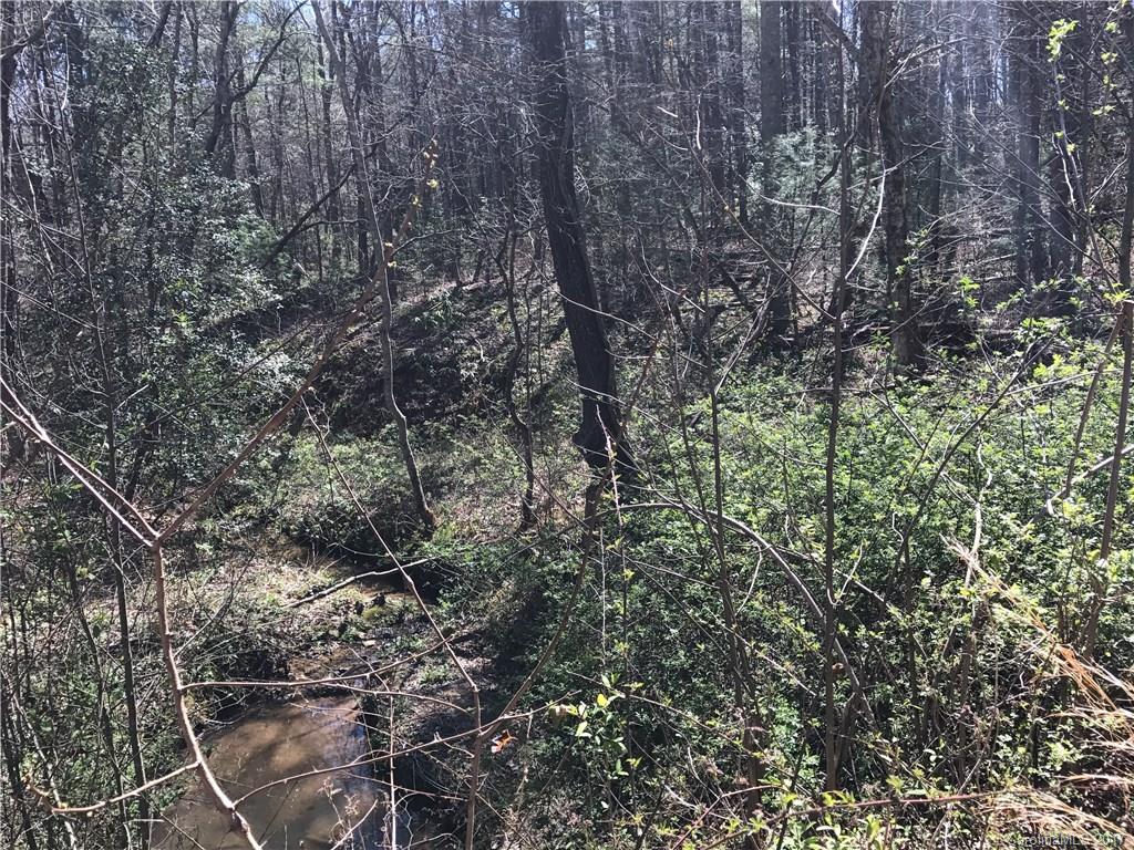99999 Sedgewood Court Fairview NC 28730