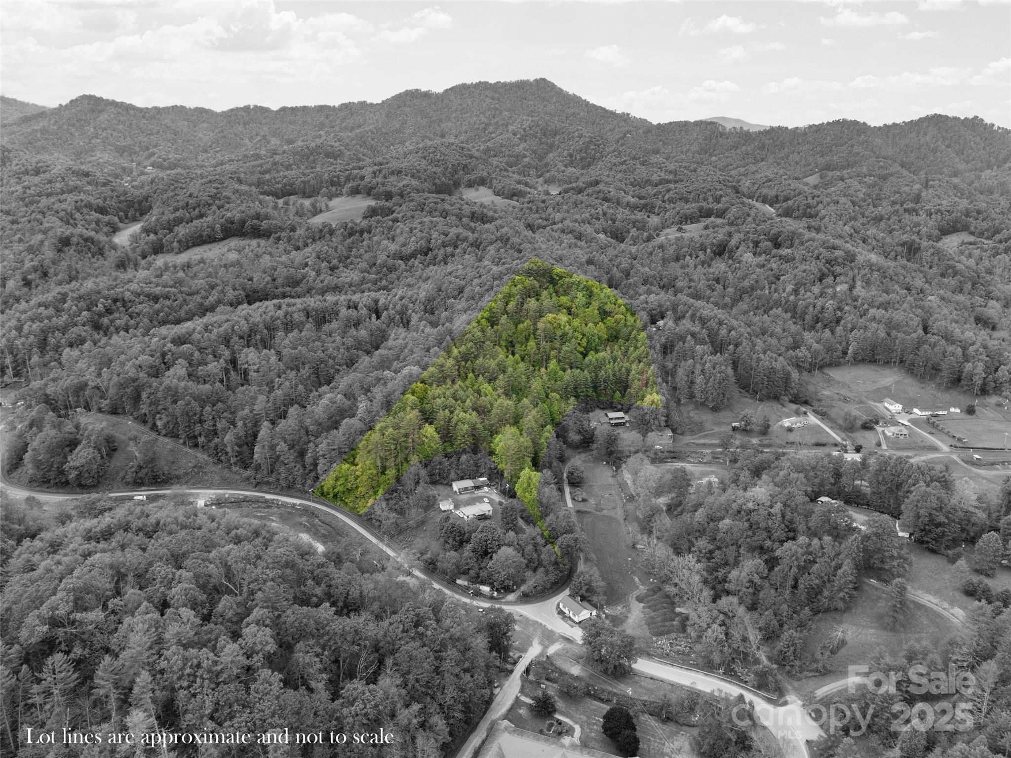 0000 Jacks Creek Road Burnsville NC 28714