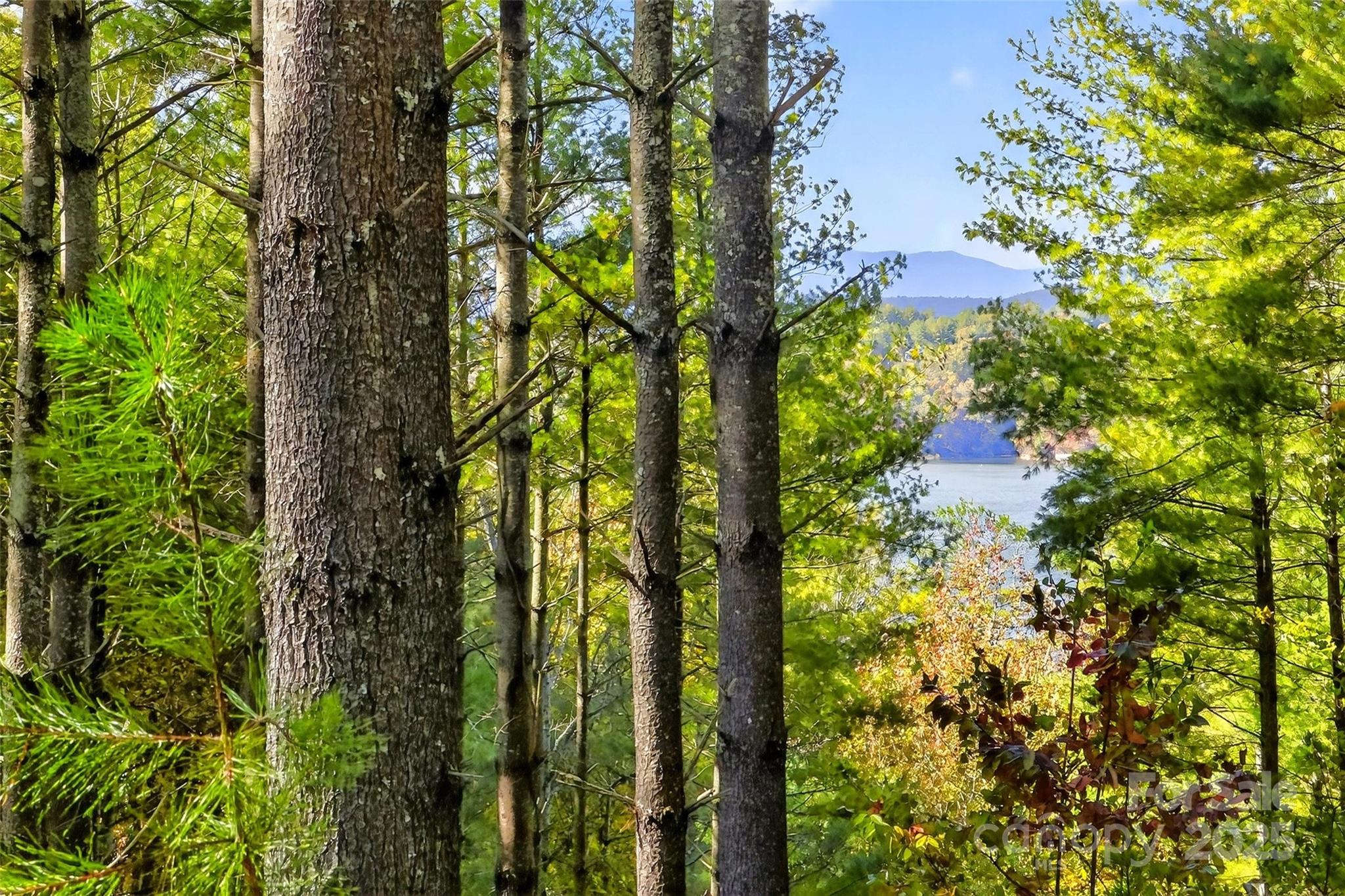 0 West Point Drive Nebo NC 28761