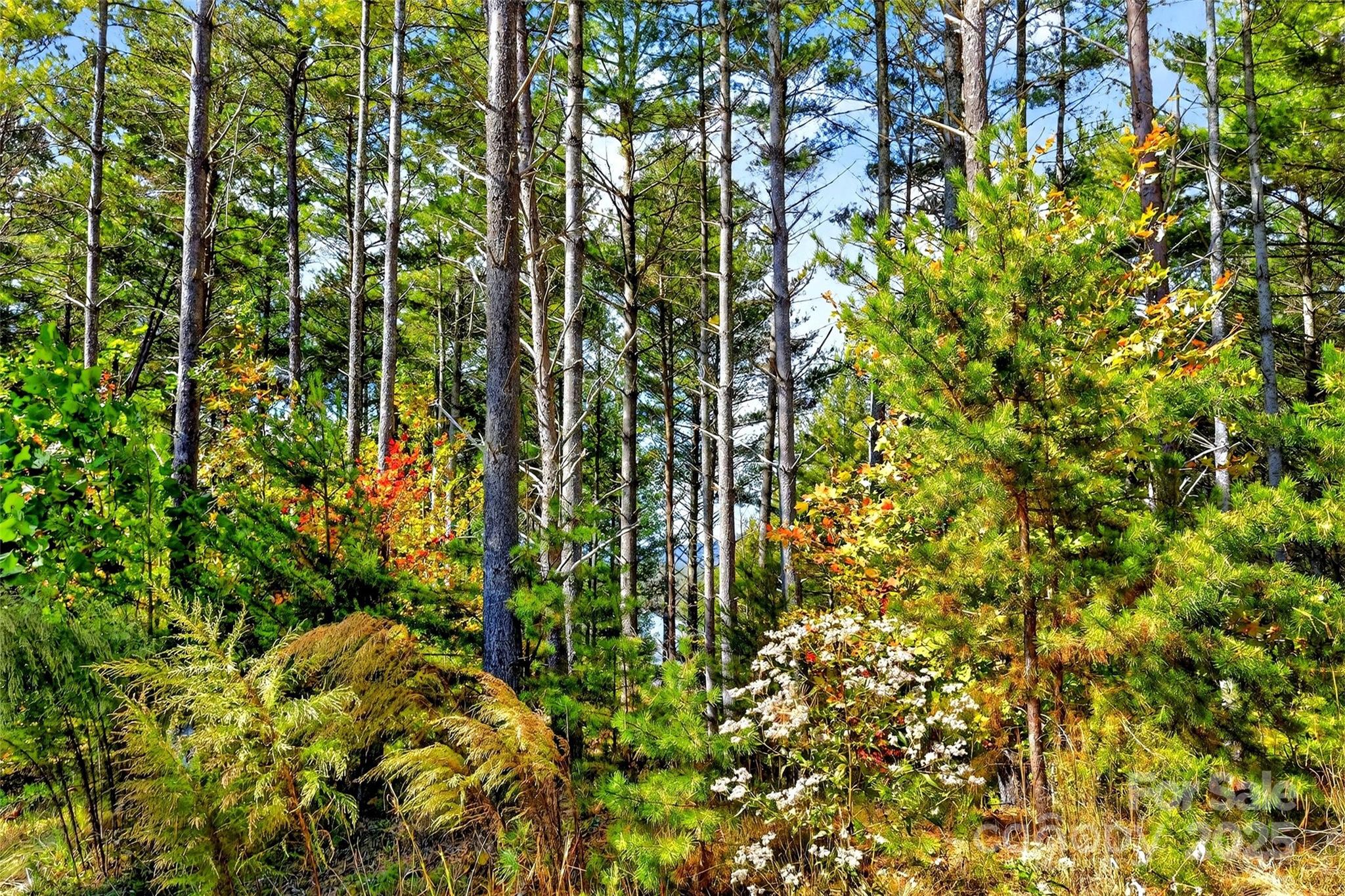 0 West Point Drive Nebo NC 28761