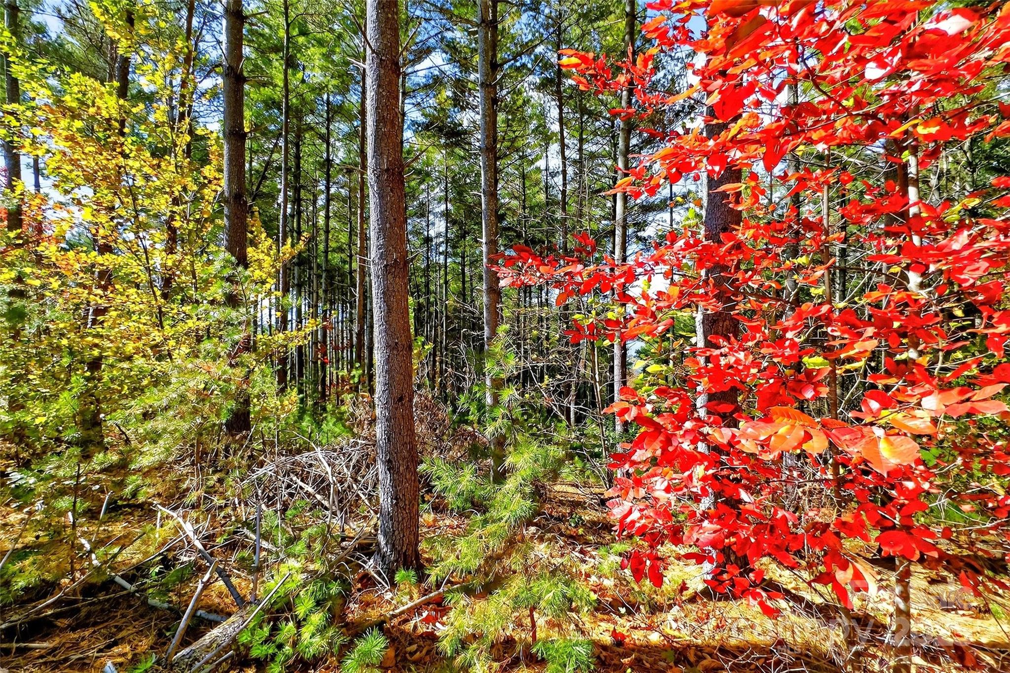0 West Point Drive Nebo NC 28761