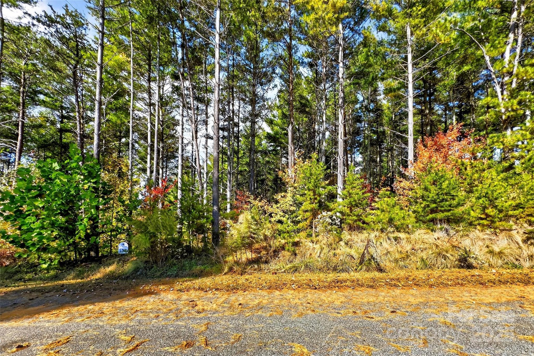 0 West Point Drive Nebo NC 28761
