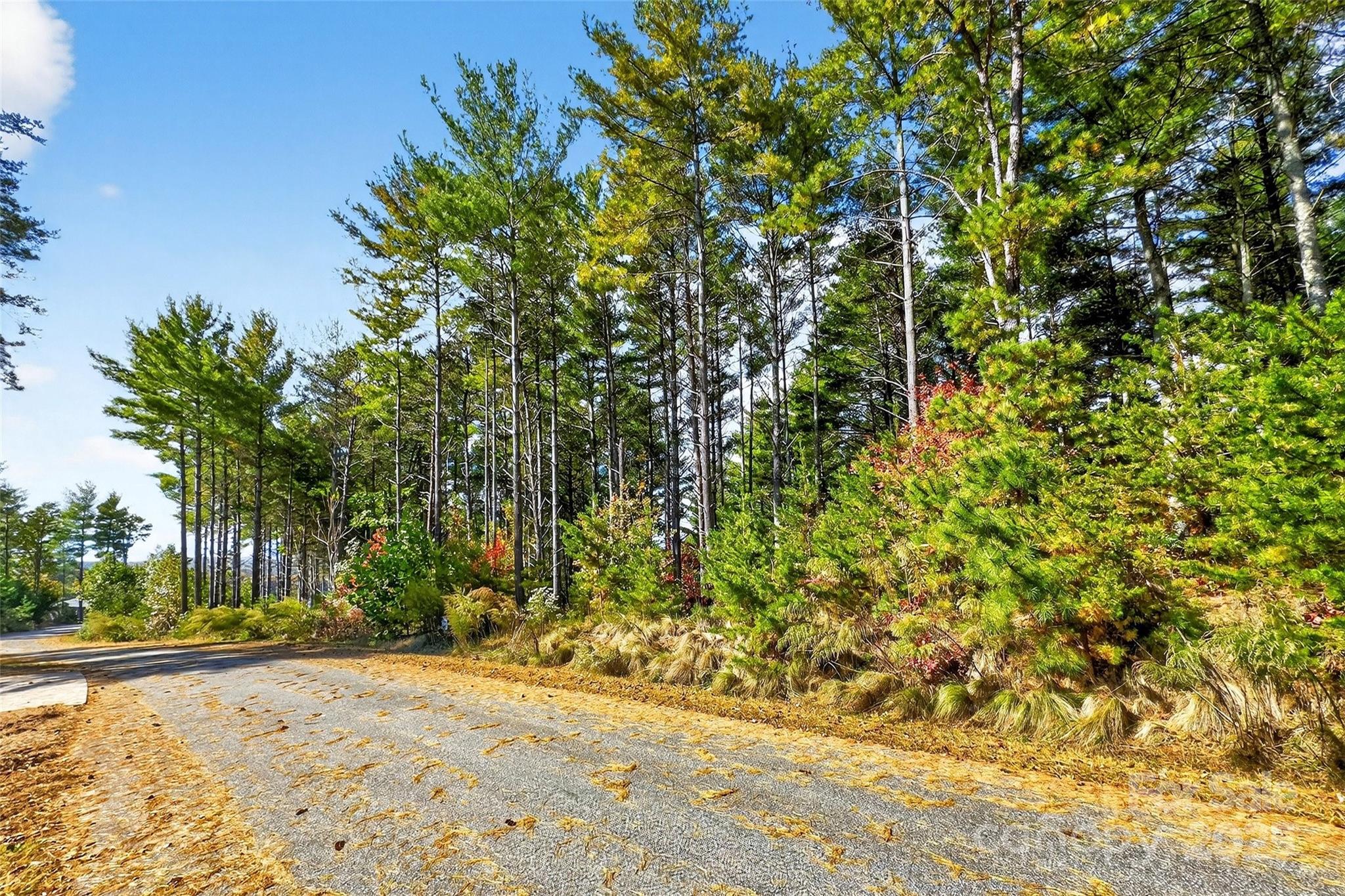 0 West Point Drive Nebo NC 28761