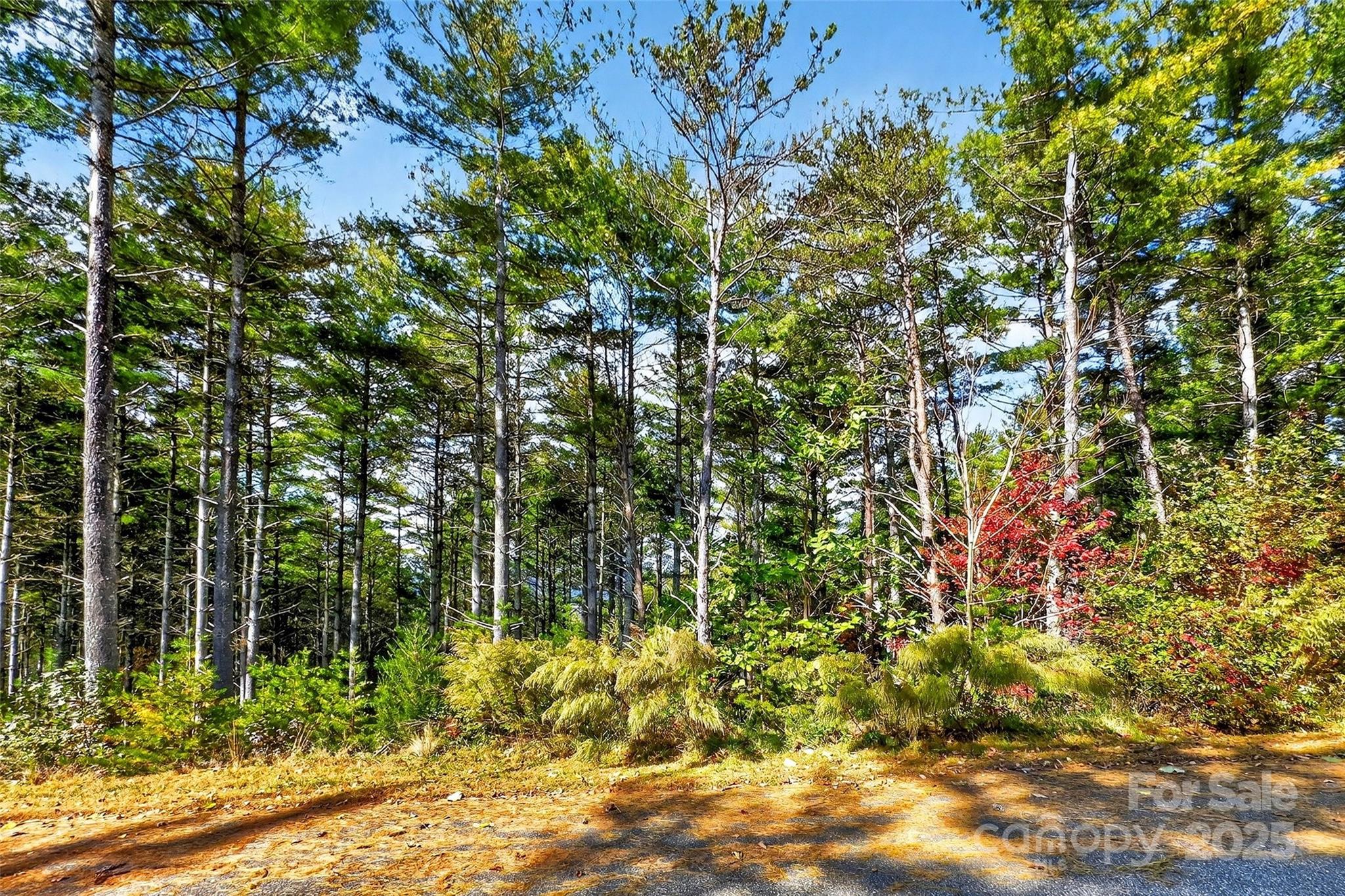 0 West Point Drive Nebo NC 28761