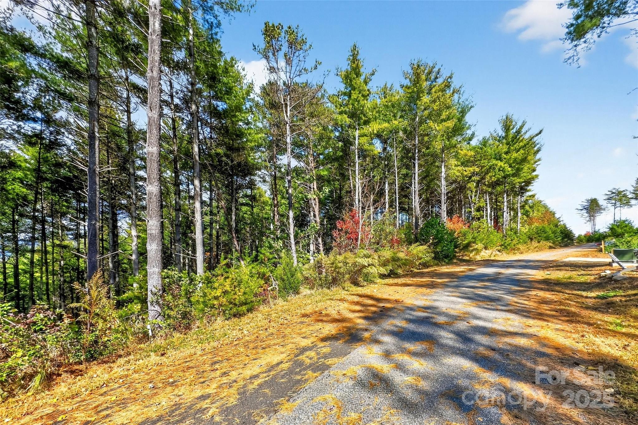0 West Point Drive Nebo NC 28761