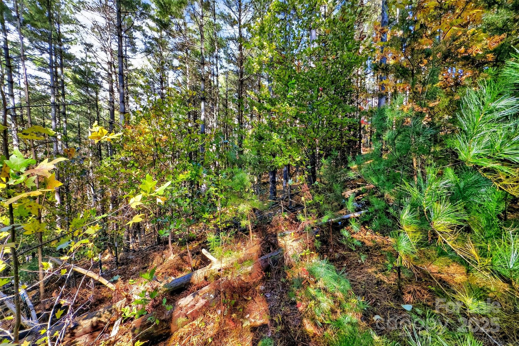 0 West Point Drive Nebo NC 28761