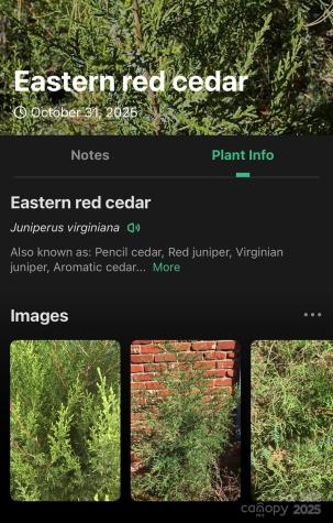 0 West Point Drive Nebo NC 28761