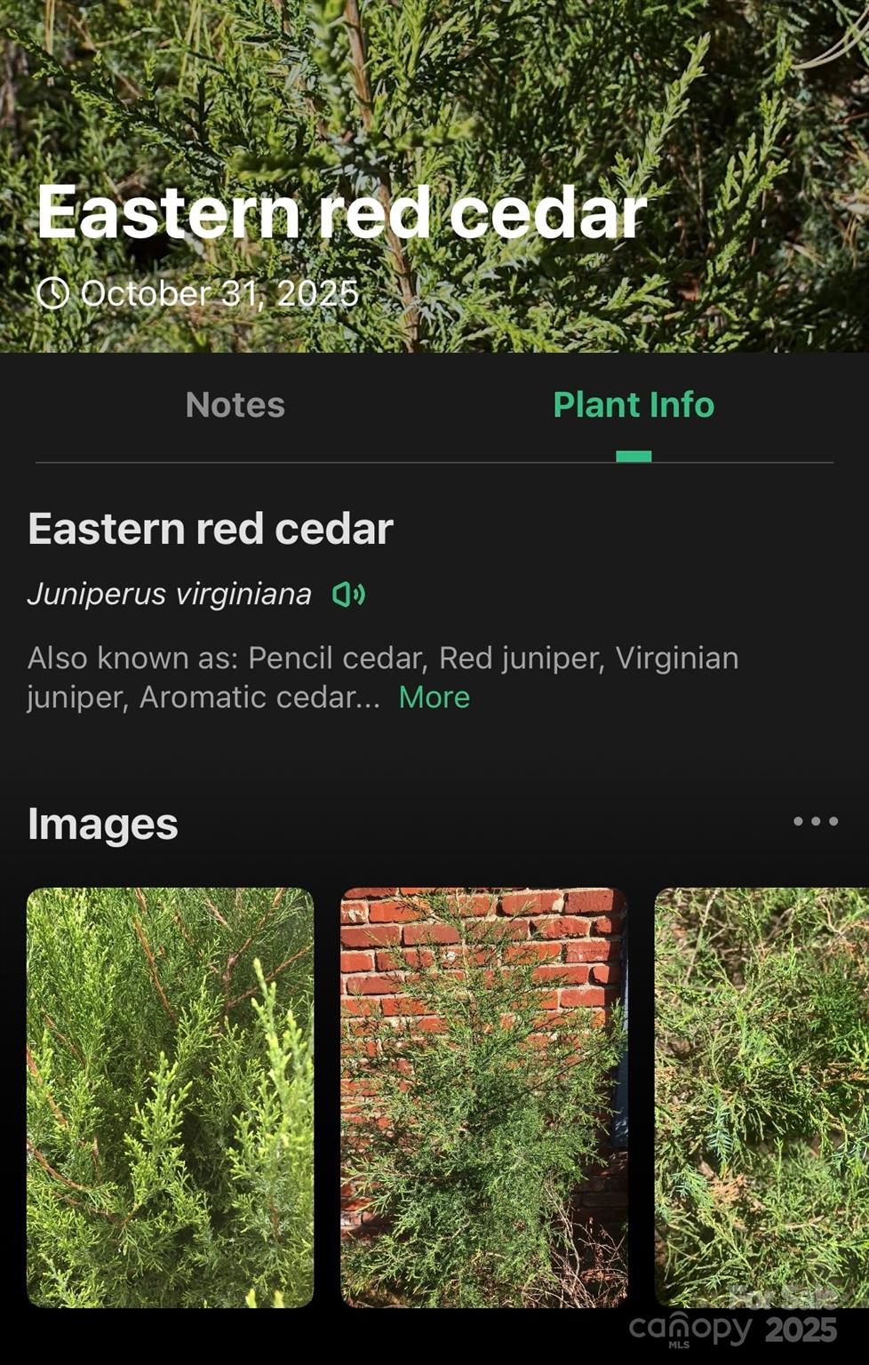 0 West Point Drive Nebo NC 28761