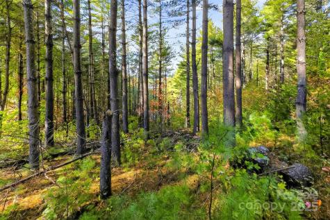 0 West Point Drive Nebo NC 28761