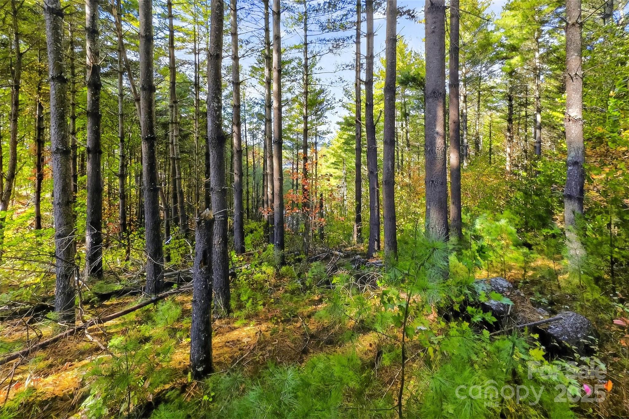 0 West Point Drive Nebo NC 28761