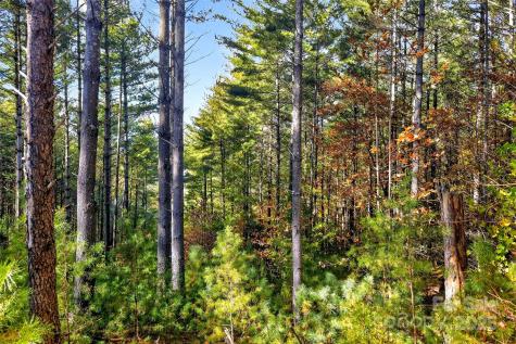 0 West Point Drive Nebo NC 28761
