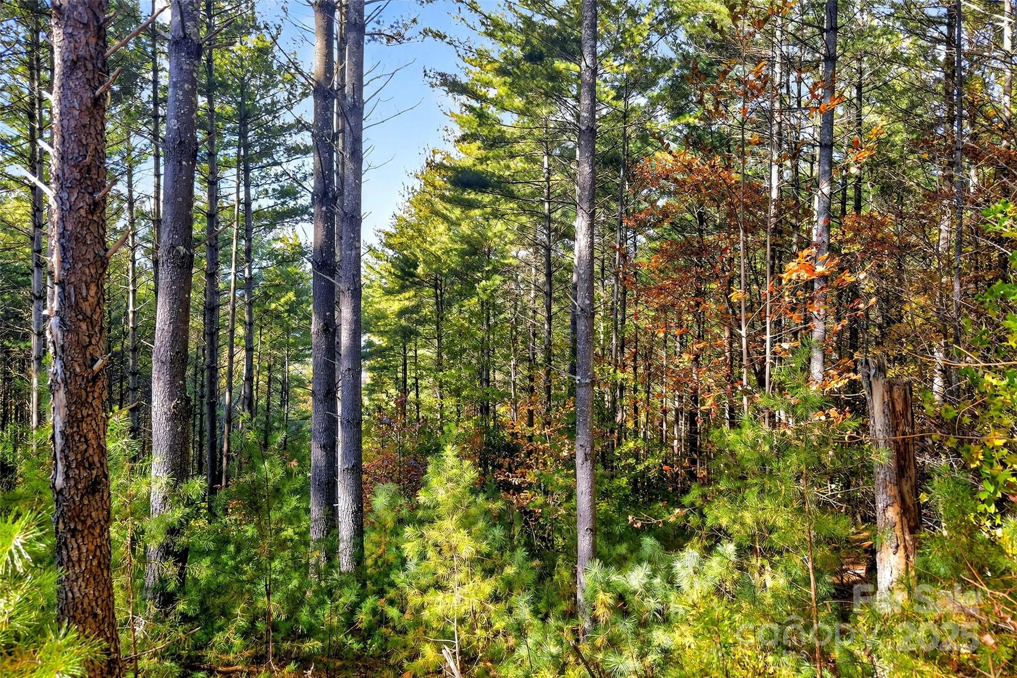0 West Point Drive Nebo NC 28761