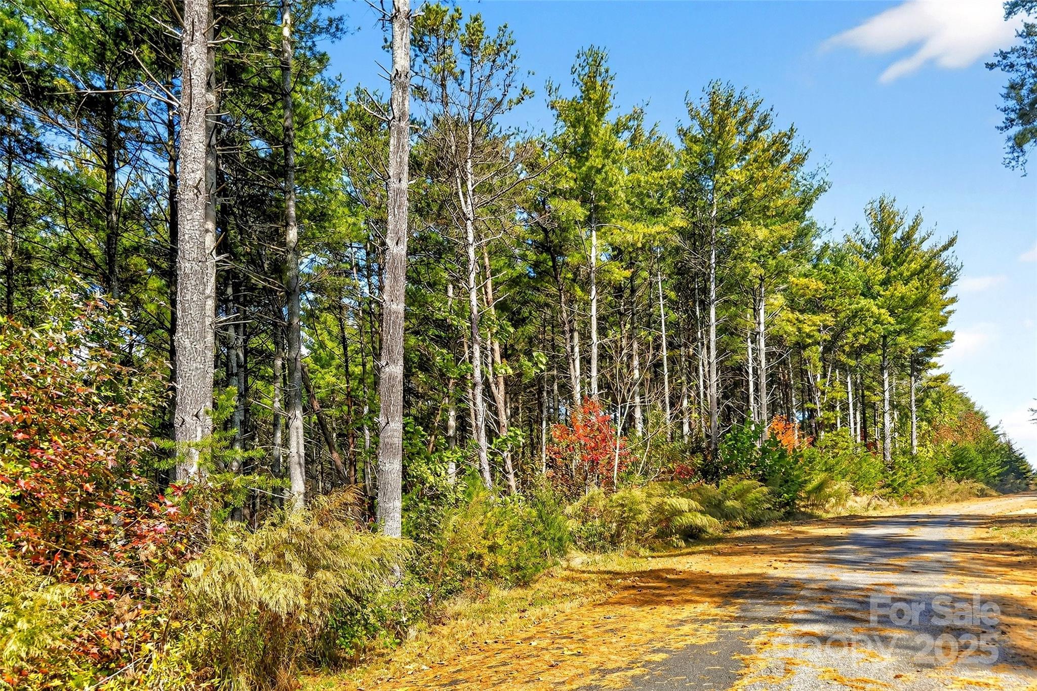 0 West Point Drive Nebo NC 28761