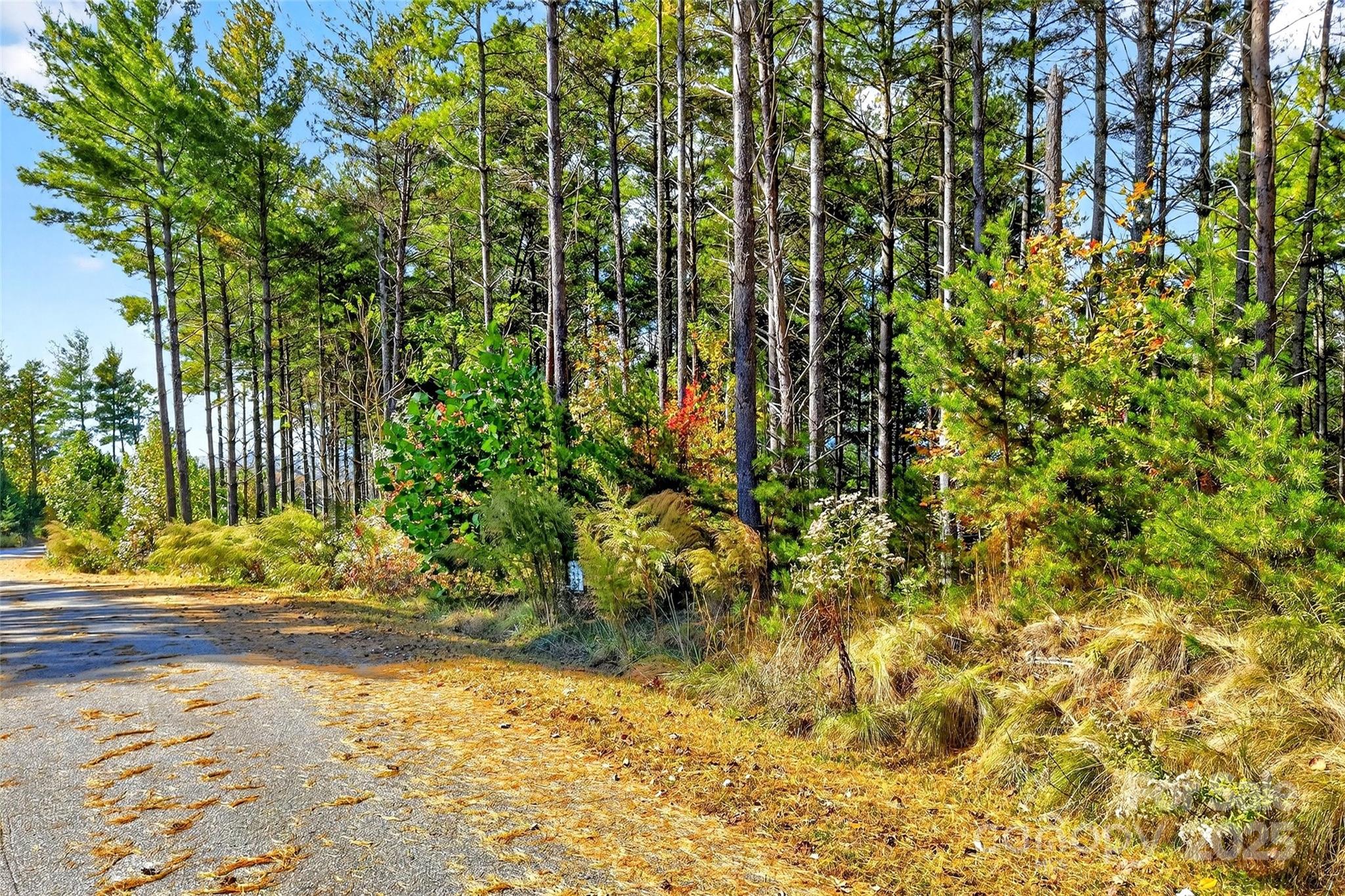 0 West Point Drive Nebo NC 28761