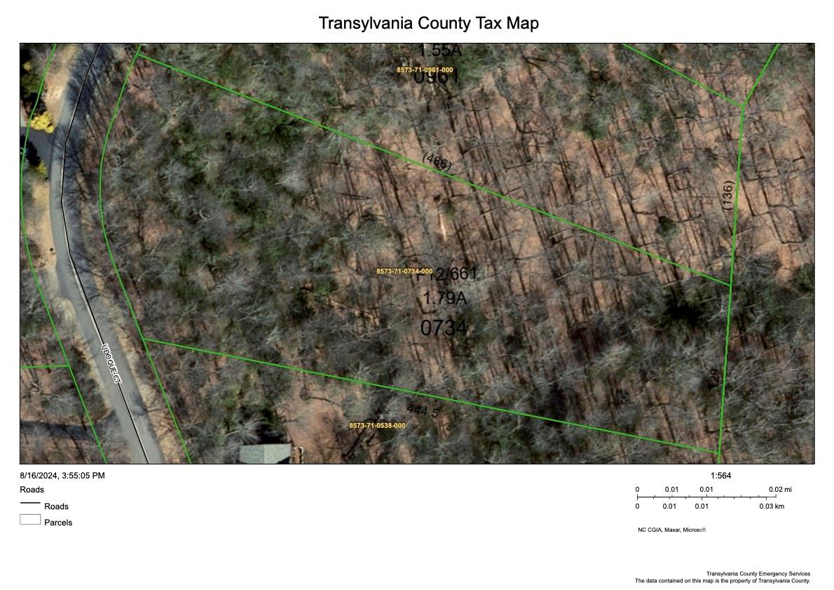 Lot 19 Udoque Court Brevard NC 28712