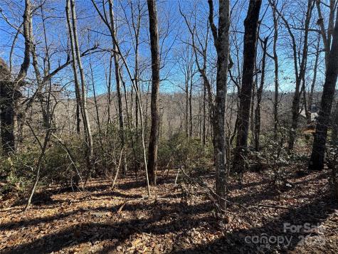 Lot 19 Udoque Court Brevard NC 28712