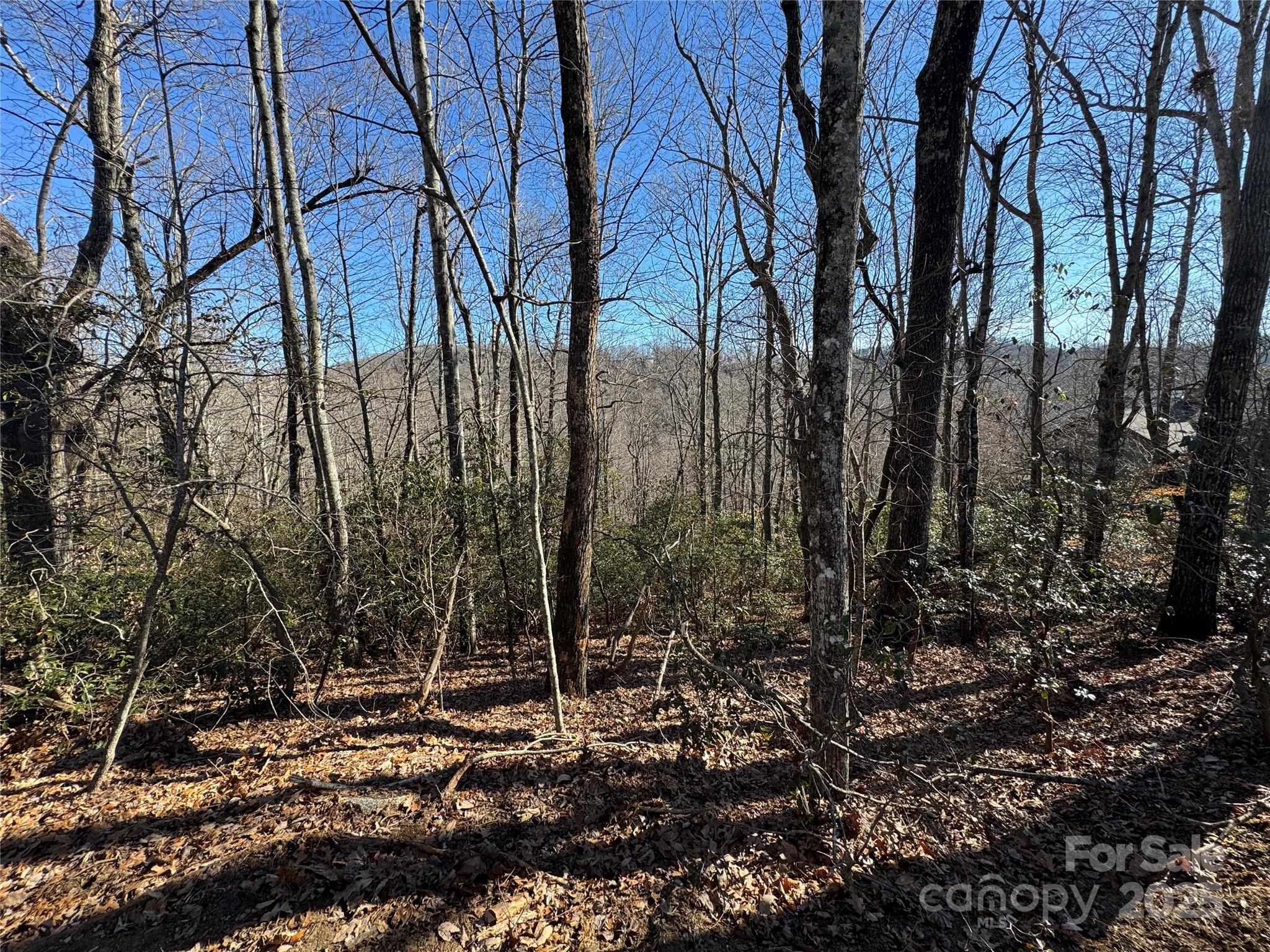 Lot 19 Udoque Court Brevard NC 28712