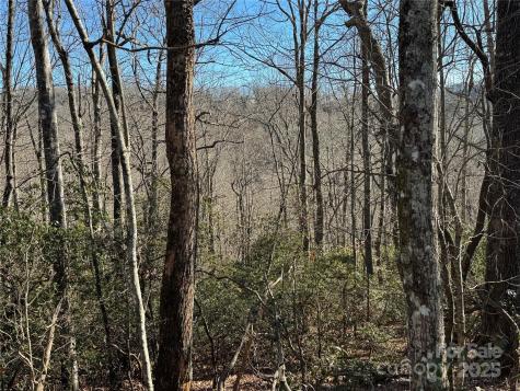 Lot 19 Udoque Court Brevard NC 28712