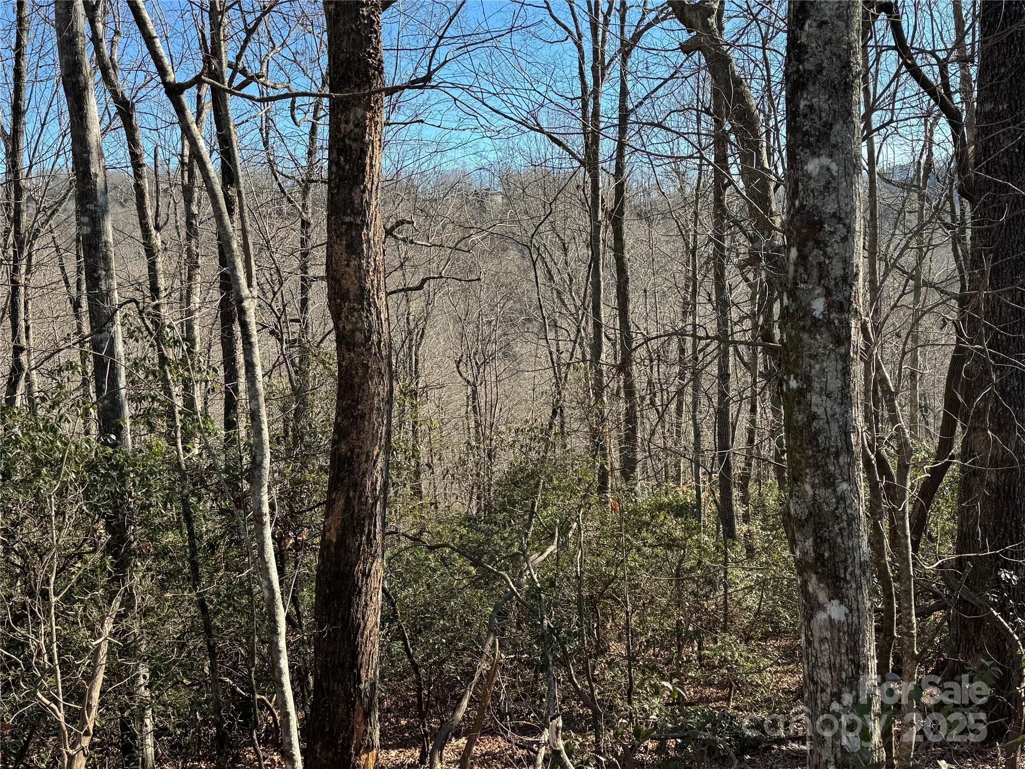Lot 19 Udoque Court Brevard NC 28712