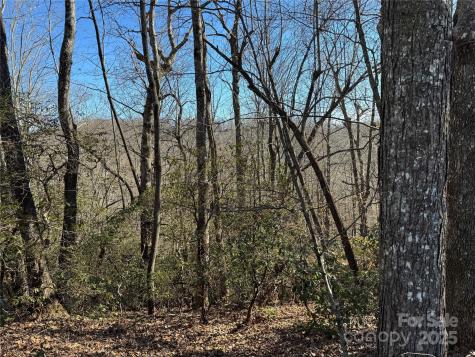 Lot 19 Udoque Court Brevard NC 28712