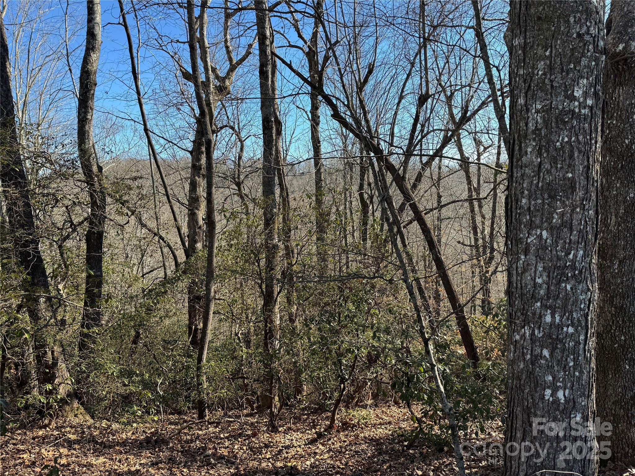 Lot 19 Udoque Court Brevard NC 28712