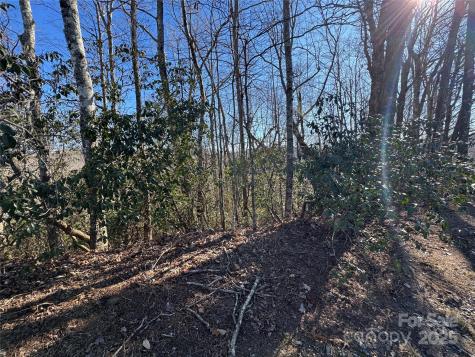 Lot 19 Udoque Court Brevard NC 28712