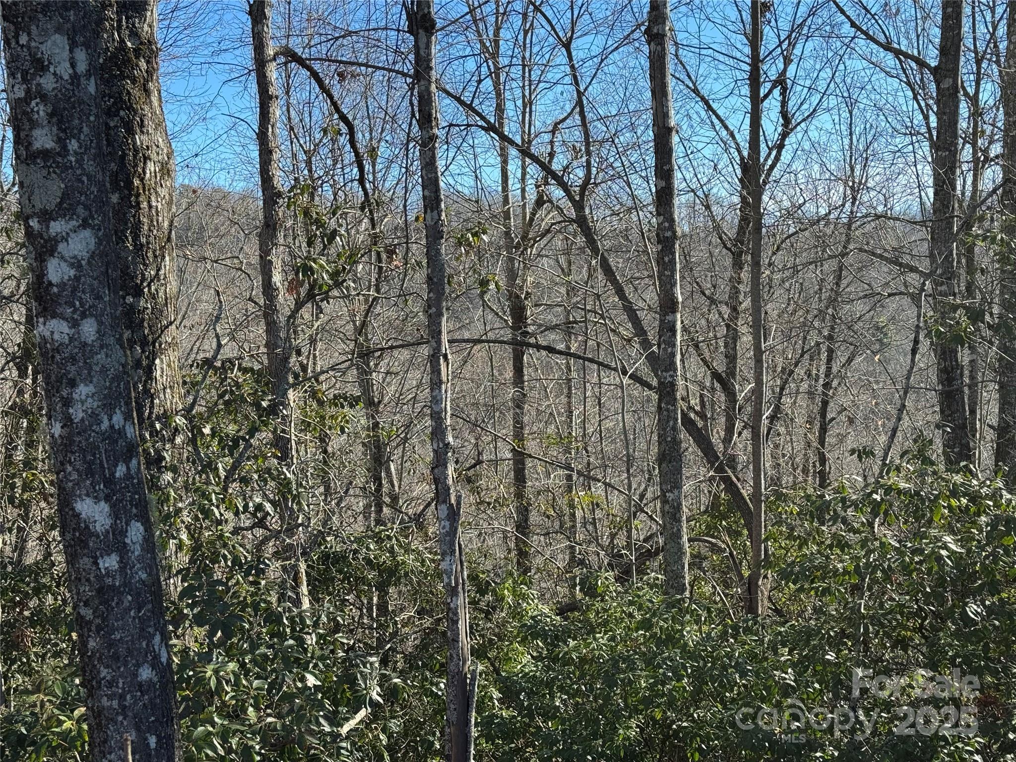 Lot 19 Udoque Court Brevard NC 28712