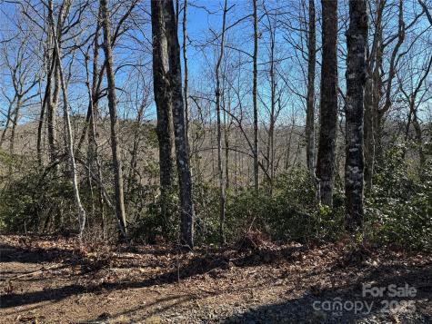 Lot 19 Udoque Court Brevard NC 28712