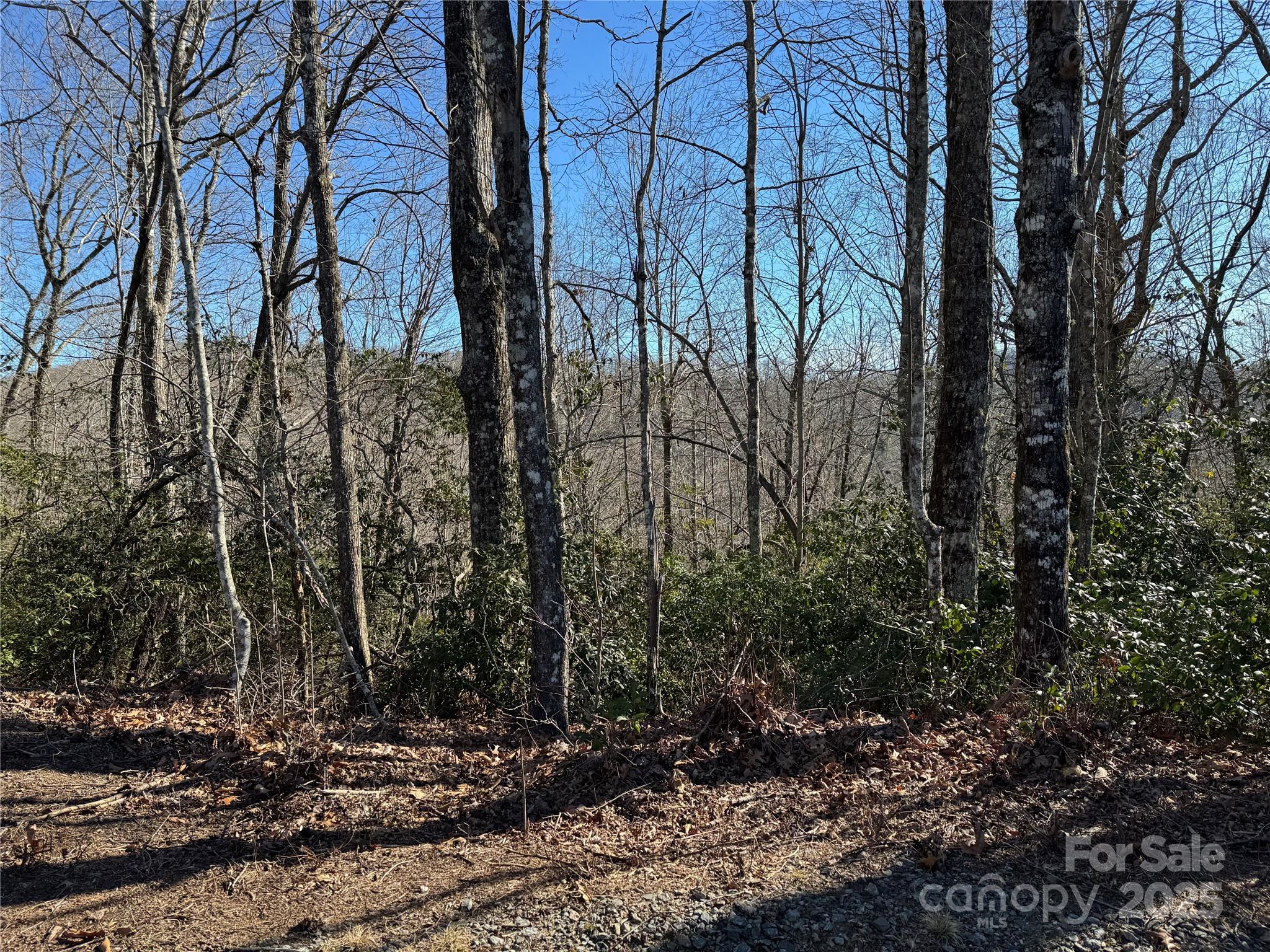 Lot 19 Udoque Court Brevard NC 28712