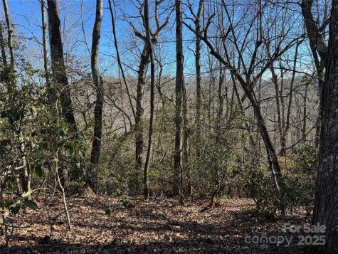 Lot 19 Udoque Court Brevard NC 28712